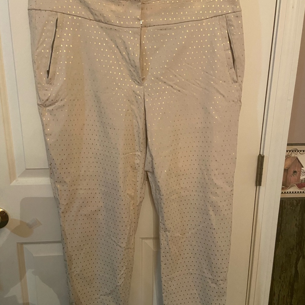 ⭐️2/20$ Lane Bryant Chic slim fit ankle pants